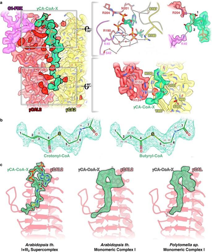 https://cdn.ncbi.nlm.nih.gov/pmc/blobs/54f3/9873573/4536d25c0af3/41477_2022_1308_Fig12_ESM.jpg