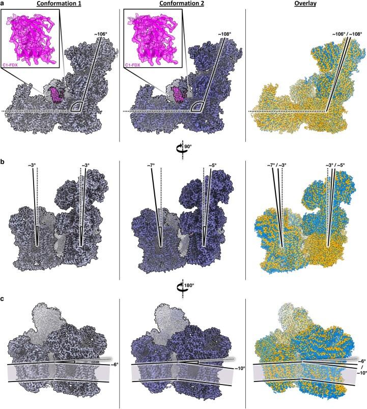 https://cdn.ncbi.nlm.nih.gov/pmc/blobs/54f3/9873573/4877b7da72f6/41477_2022_1308_Fig10_ESM.jpg