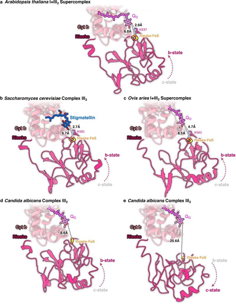 https://cdn.ncbi.nlm.nih.gov/pmc/blobs/54f3/9873573/4a5faaa4276d/41477_2022_1308_Fig16_ESM.jpg