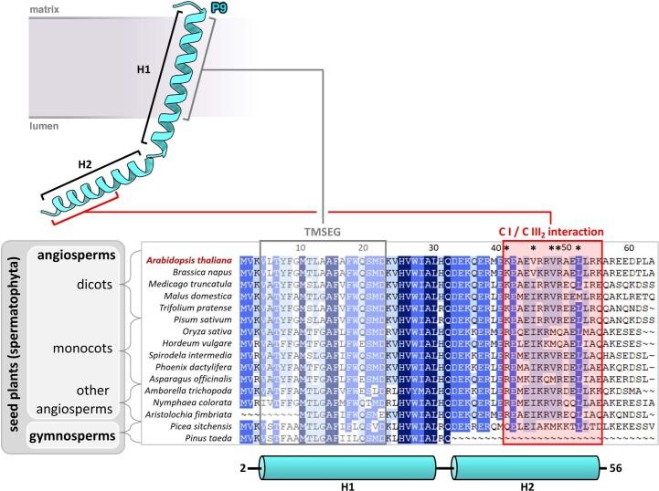 https://cdn.ncbi.nlm.nih.gov/pmc/blobs/54f3/9873573/5bd1f2fed372/41477_2022_1308_Fig8_ESM.jpg