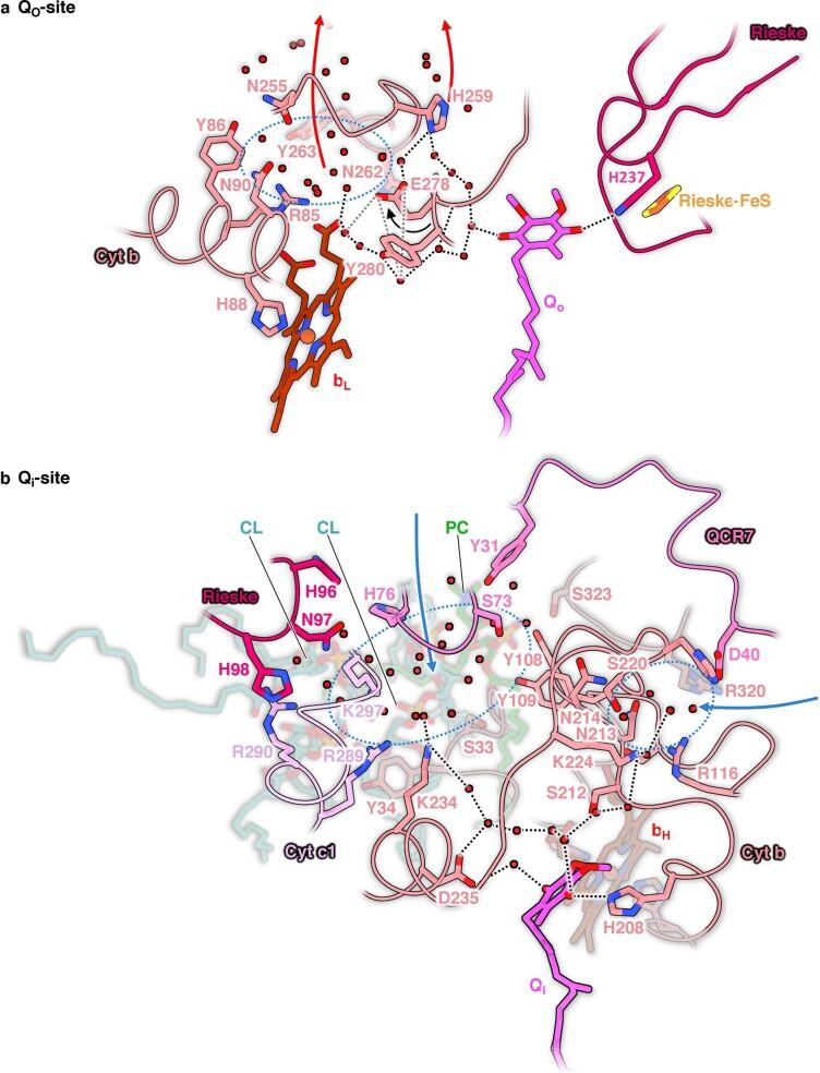 https://cdn.ncbi.nlm.nih.gov/pmc/blobs/54f3/9873573/6f8b091499a3/41477_2022_1308_Fig15_ESM.jpg