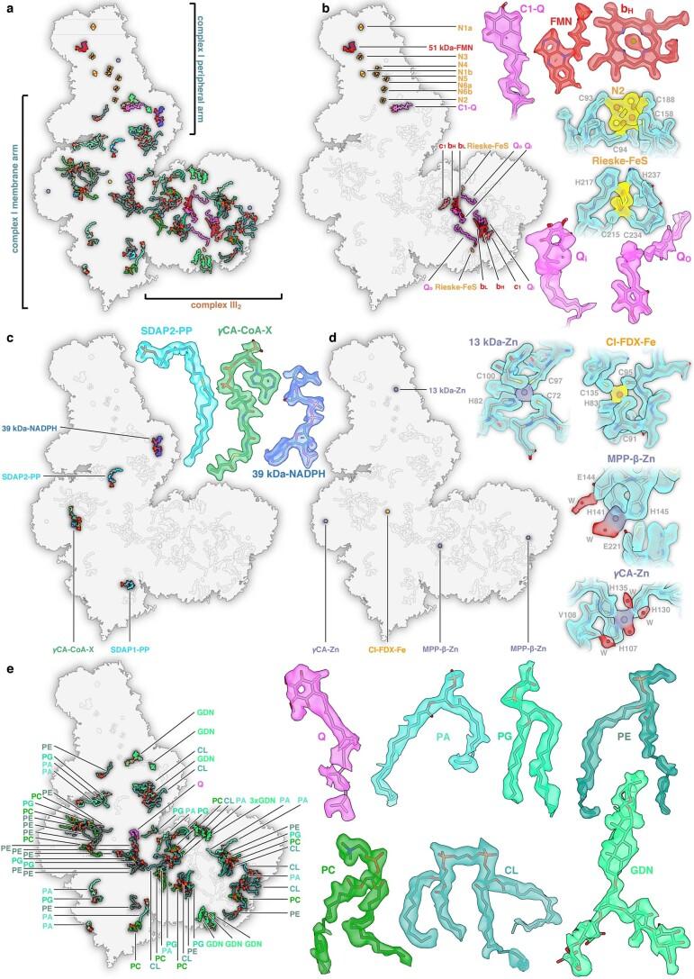 https://cdn.ncbi.nlm.nih.gov/pmc/blobs/54f3/9873573/acceb9bd19e3/41477_2022_1308_Fig9_ESM.jpg