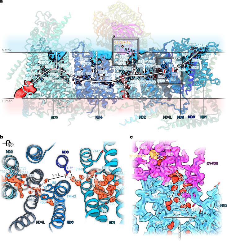 https://cdn.ncbi.nlm.nih.gov/pmc/blobs/54f3/9873573/bc5d70085b4a/41477_2022_1308_Fig6_HTML.jpg