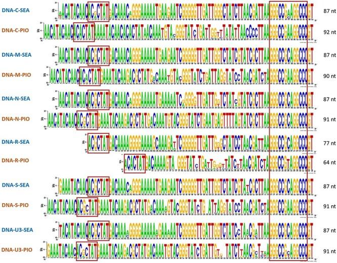 https://cdn.ncbi.nlm.nih.gov/pmc/blobs/54f5/10868553/a4087bc89a56/vead076f4.jpg