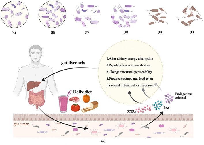 https://cdn.ncbi.nlm.nih.gov/pmc/blobs/54f5/9247350/dc10ea503b88/fnut-09-906511-g0003.jpg