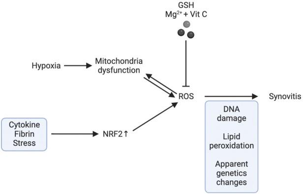 https://cdn.ncbi.nlm.nih.gov/pmc/blobs/54f5/9532006/a205c8e82186/fmolb-09-1001212-g004.jpg