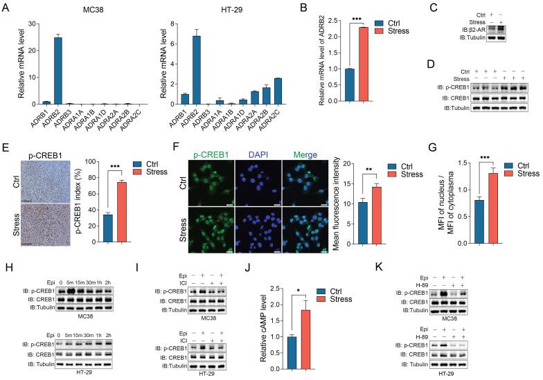https://cdn.ncbi.nlm.nih.gov/pmc/blobs/54f6/10158030/e7c3032e13ad/ijbsv19p2006g004.jpg