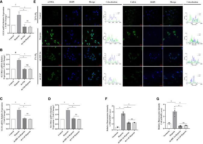 https://cdn.ncbi.nlm.nih.gov/pmc/blobs/54f6/10946064/19900f79e900/fendo-15-1344971-g006.jpg
