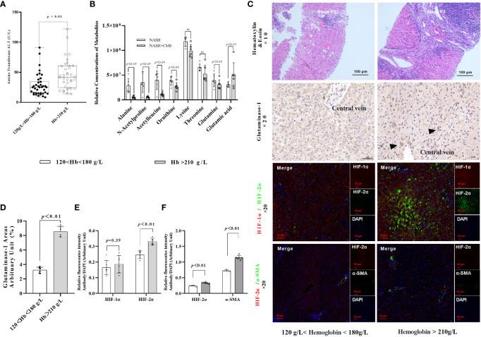 https://cdn.ncbi.nlm.nih.gov/pmc/blobs/54f6/10946064/c4ad6f83f9f9/fendo-15-1344971-g001.jpg