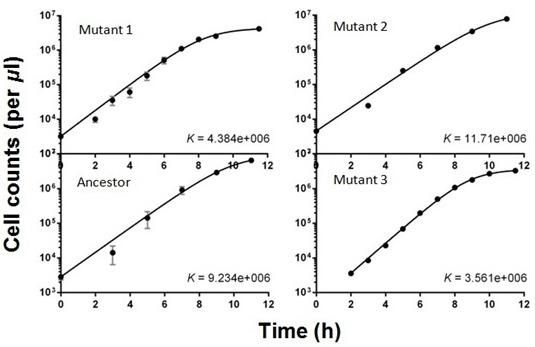 https://cdn.ncbi.nlm.nih.gov/pmc/blobs/54f6/5072838/0b9c029c04b2/elife-19307-fig2-figsupp6.jpg