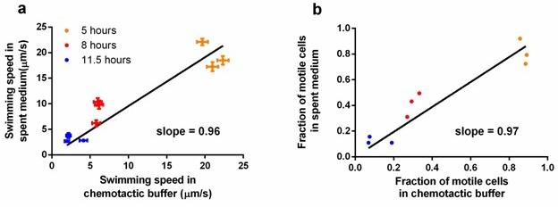 https://cdn.ncbi.nlm.nih.gov/pmc/blobs/54f6/5072838/36ac1db5e86b/elife-19307-fig3-figsupp3.jpg