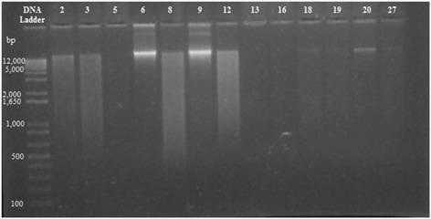 https://cdn.ncbi.nlm.nih.gov/pmc/blobs/54f6/5602841/c82535052ca2/12906_2017_1968_Fig1_HTML.jpg