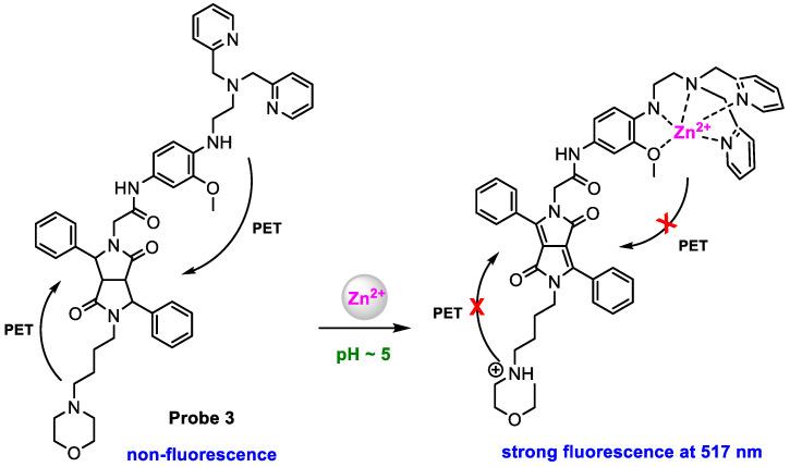 https://cdn.ncbi.nlm.nih.gov/pmc/blobs/54f8/11173588/451518ccec46/molecules-29-02542-sch004.jpg