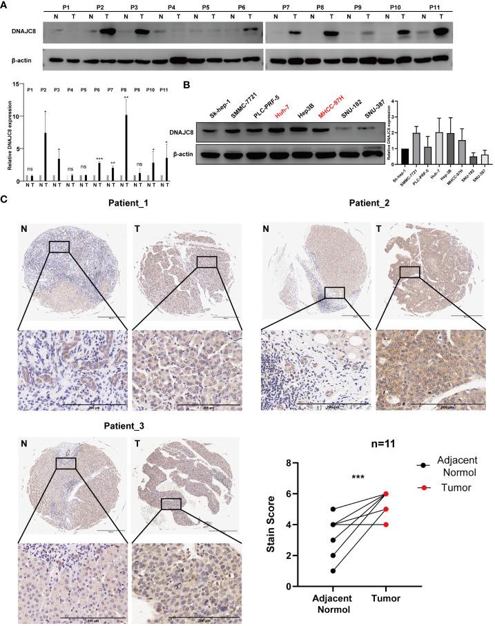 https://cdn.ncbi.nlm.nih.gov/pmc/blobs/54fb/10808467/20ec6245d960/fimmu-14-1289548-g005.jpg