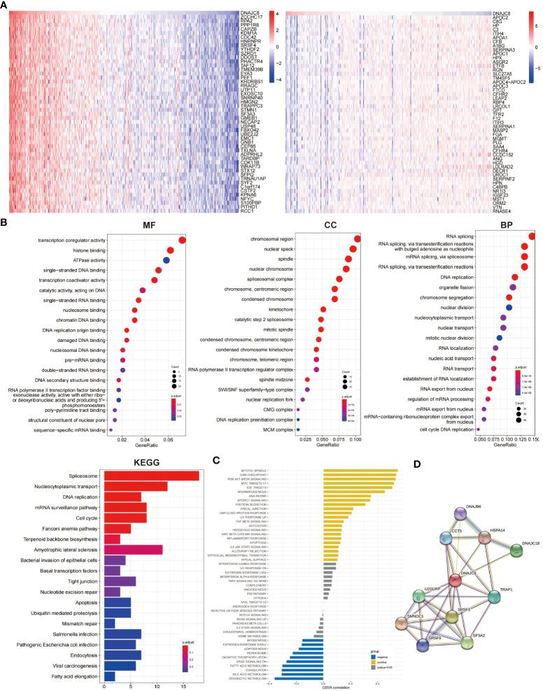 https://cdn.ncbi.nlm.nih.gov/pmc/blobs/54fb/10808467/81ba2138f117/fimmu-14-1289548-g003.jpg