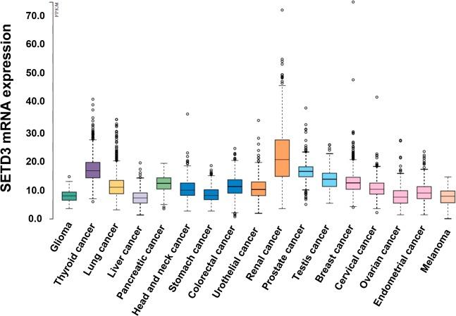 https://cdn.ncbi.nlm.nih.gov/pmc/blobs/54fb/7010743/15087989d48d/41598_2020_59057_Fig1_HTML.jpg