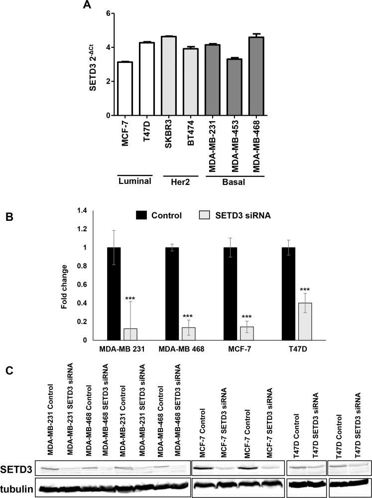 https://cdn.ncbi.nlm.nih.gov/pmc/blobs/54fb/7010743/9c8cca391024/41598_2020_59057_Fig4_HTML.jpg