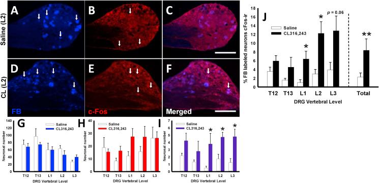https://cdn.ncbi.nlm.nih.gov/pmc/blobs/54fe/5021673/4d154de70be2/gr4.jpg