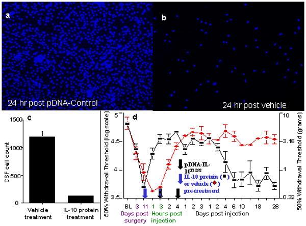 https://cdn.ncbi.nlm.nih.gov/pmc/blobs/5502/2762489/b87b3b2a0e4c/nihms116770f3.jpg