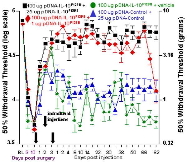 https://cdn.ncbi.nlm.nih.gov/pmc/blobs/5502/2762489/c8b734a579db/nihms116770f4.jpg