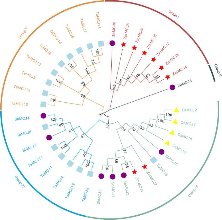 https://cdn.ncbi.nlm.nih.gov/pmc/blobs/5503/11227246/b3bf51b18236/12870_2024_5354_Fig2_HTML.jpg
