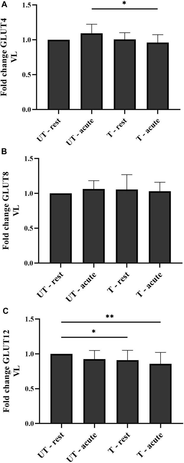 https://cdn.ncbi.nlm.nih.gov/pmc/blobs/5504/10466803/10424297d0e0/fphys-14-1256217-g004.jpg