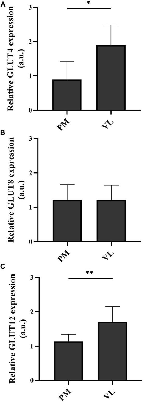 https://cdn.ncbi.nlm.nih.gov/pmc/blobs/5504/10466803/4a4eb9614734/fphys-14-1256217-g003.jpg
