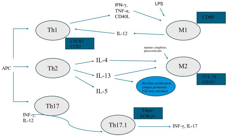 https://cdn.ncbi.nlm.nih.gov/pmc/blobs/5505/11989801/7e4117e00c5e/jcm-14-02381-g001.jpg