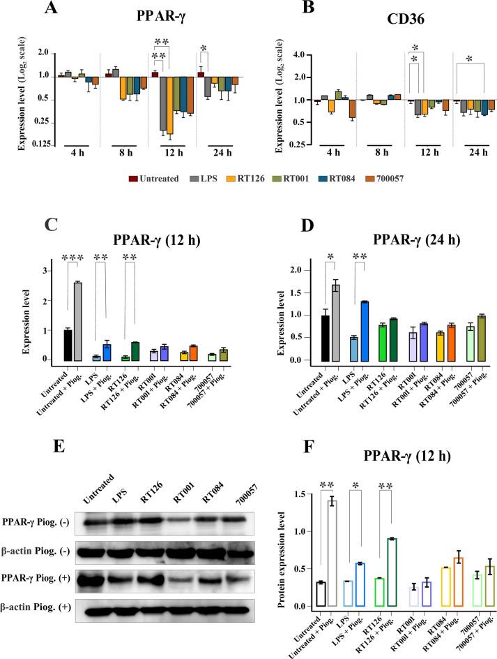 https://cdn.ncbi.nlm.nih.gov/pmc/blobs/5506/11686163/a12746ffb814/41598_2024_83815_Fig4_HTML.jpg