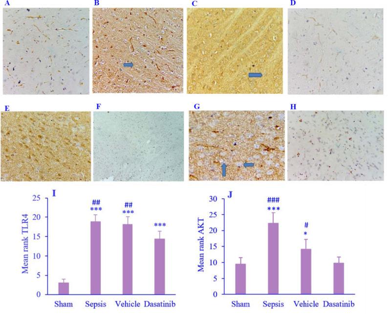 https://cdn.ncbi.nlm.nih.gov/pmc/blobs/5508/11244703/a1a809f3cb00/RPS-19-64-g002.jpg