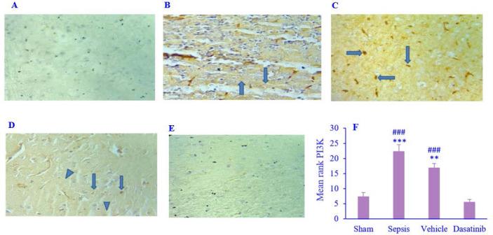 https://cdn.ncbi.nlm.nih.gov/pmc/blobs/5508/11244703/f09f919e5e93/RPS-19-64-g003.jpg