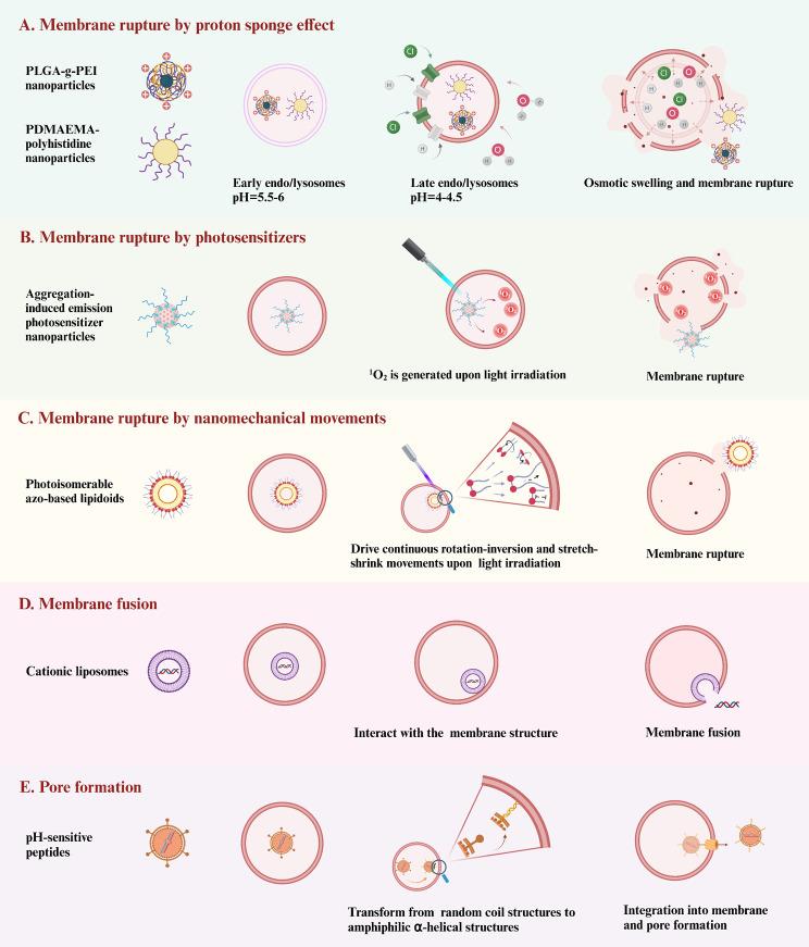 https://cdn.ncbi.nlm.nih.gov/pmc/blobs/5508/11823048/34a7412bc9f0/12951_2025_3140_Fig6_HTML.jpg