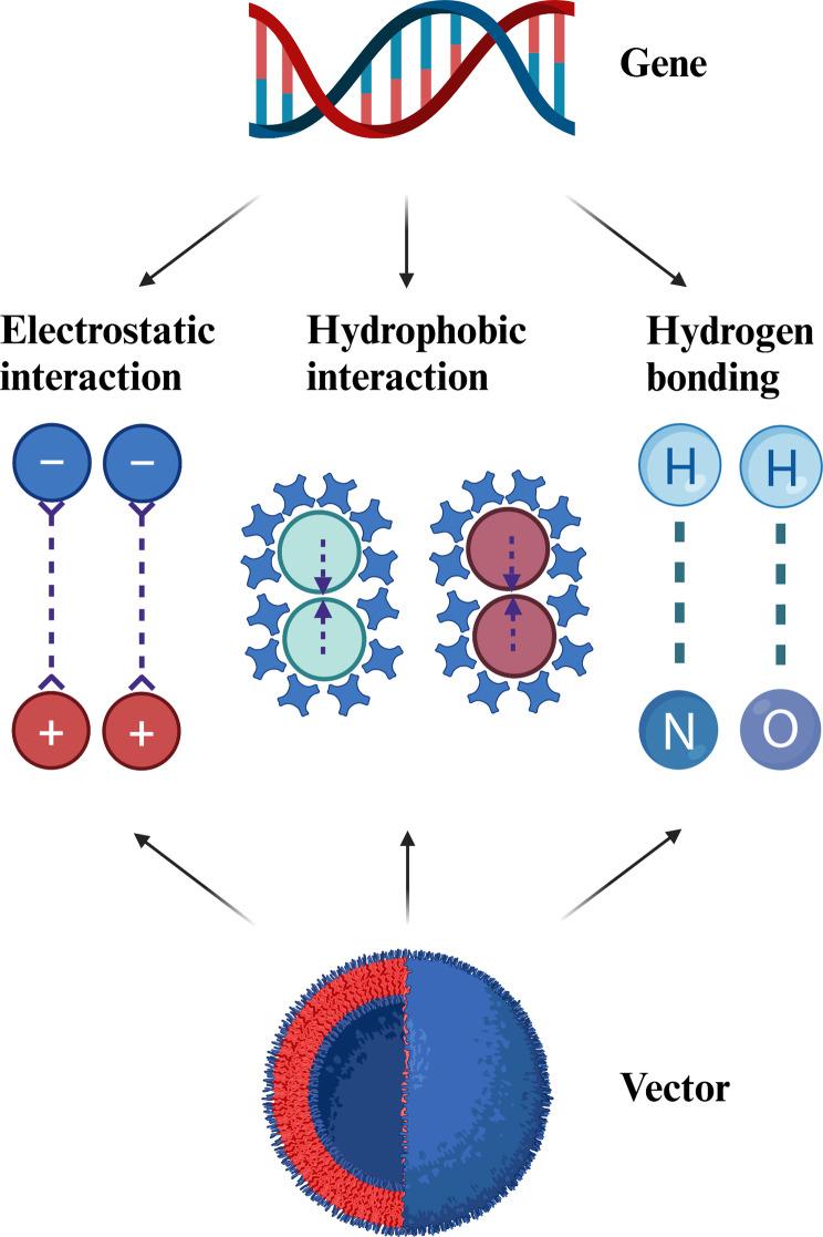https://cdn.ncbi.nlm.nih.gov/pmc/blobs/5508/11823048/67d072c46ff6/12951_2025_3140_Fig4_HTML.jpg