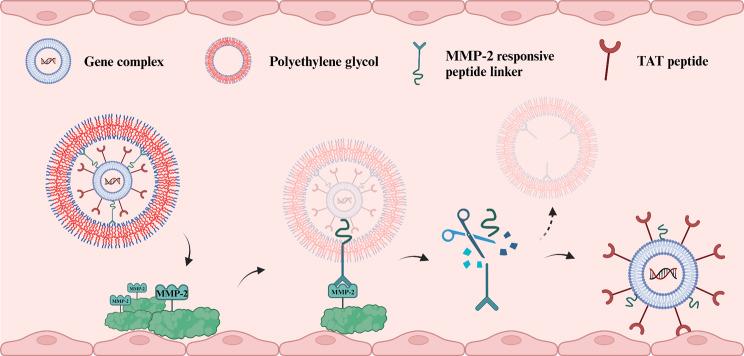 https://cdn.ncbi.nlm.nih.gov/pmc/blobs/5508/11823048/733a15257ed6/12951_2025_3140_Fig5_HTML.jpg