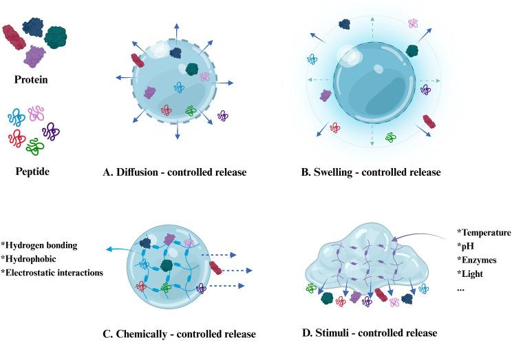 https://cdn.ncbi.nlm.nih.gov/pmc/blobs/5508/11823048/77b97bef2be7/12951_2025_3140_Fig10_HTML.jpg