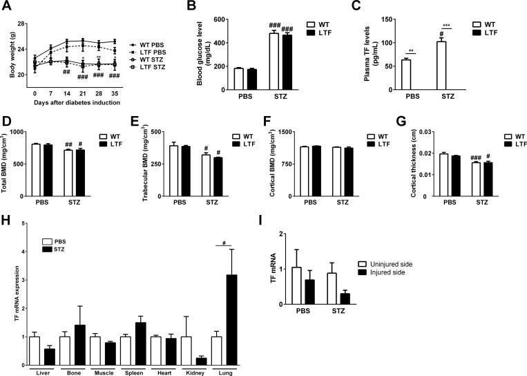 https://cdn.ncbi.nlm.nih.gov/pmc/blobs/5508/8638858/12484b5dddf0/pone.0260754.g001.jpg