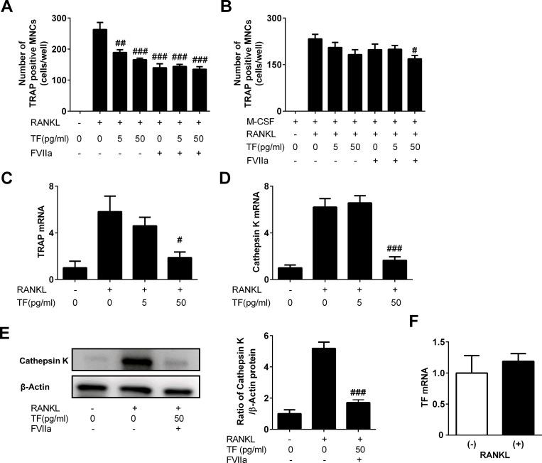 https://cdn.ncbi.nlm.nih.gov/pmc/blobs/5508/8638858/ba7cfcf14817/pone.0260754.g004.jpg