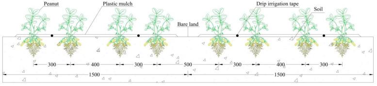 https://cdn.ncbi.nlm.nih.gov/pmc/blobs/5509/10781180/9488172d9f87/plants-13-00144-g006.jpg