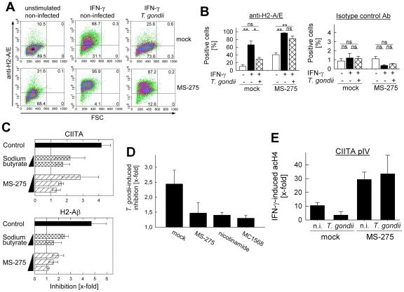 https://cdn.ncbi.nlm.nih.gov/pmc/blobs/550b/3262016/f80ea448f5a4/ppat.1002483.g007.jpg