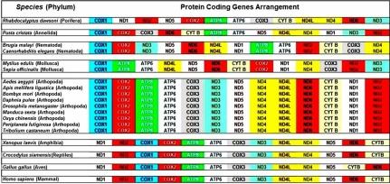https://cdn.ncbi.nlm.nih.gov/pmc/blobs/550c/3040000/f8625586916d/97320630005021F3.jpg
