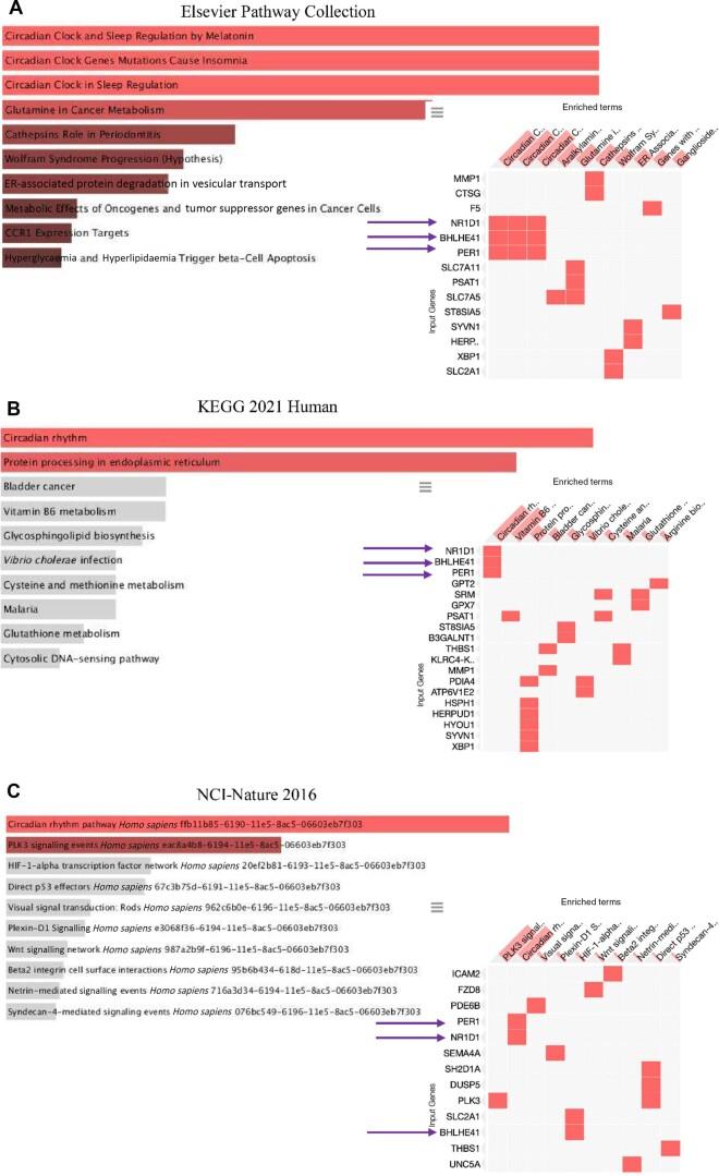 https://cdn.ncbi.nlm.nih.gov/pmc/blobs/550d/10393441/7e89ddacca65/kead014f4.jpg