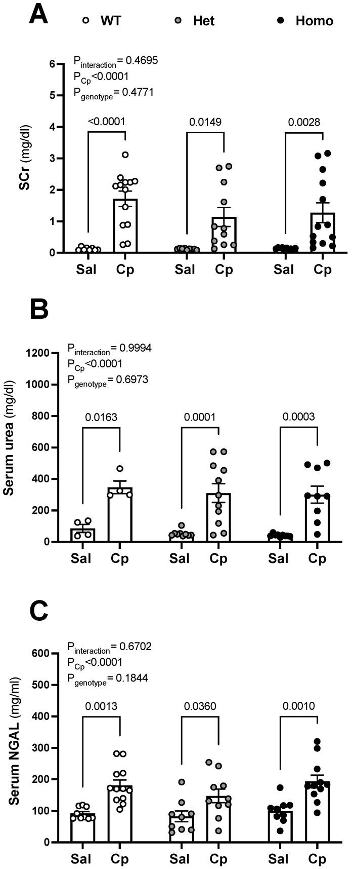 https://cdn.ncbi.nlm.nih.gov/pmc/blobs/550d/9368456/f5ce08405763/ijms-23-08284-g002.jpg