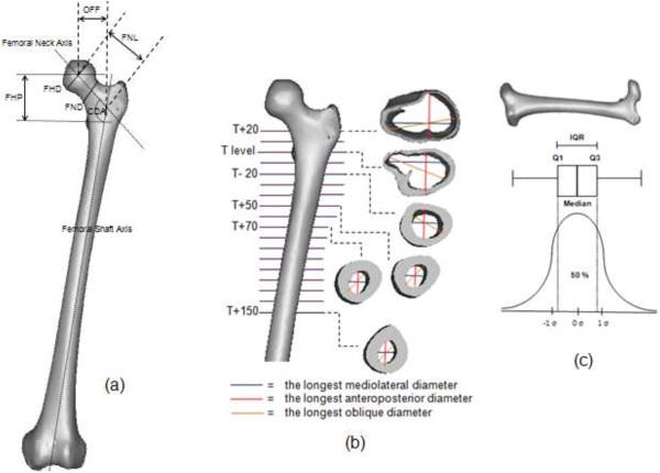https://cdn.ncbi.nlm.nih.gov/pmc/blobs/5510/3924227/f48c61442f71/1471-2474-15-30-3.jpg