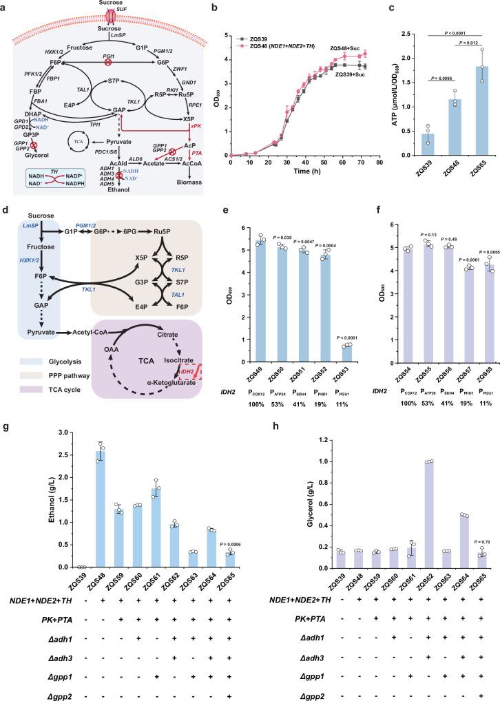 https://cdn.ncbi.nlm.nih.gov/pmc/blobs/5511/12141580/cedb90b8bf64/41467_2025_60578_Fig5_HTML.jpg