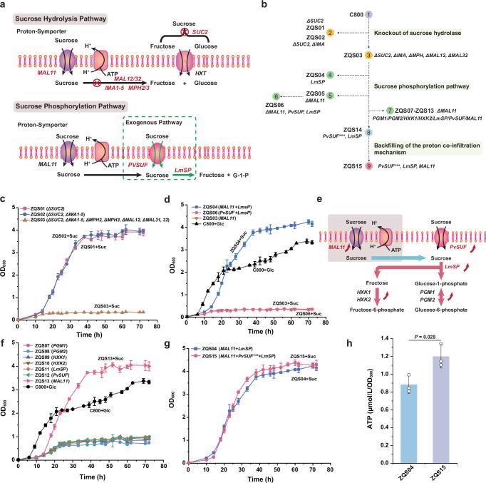 https://cdn.ncbi.nlm.nih.gov/pmc/blobs/5511/12141580/f34d2cef7d1d/41467_2025_60578_Fig1_HTML.jpg