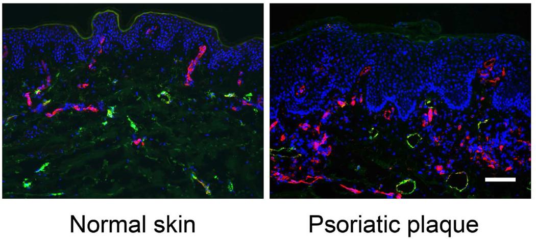 https://cdn.ncbi.nlm.nih.gov/pmc/blobs/5512/3398151/5e90100a0ea6/nihms320640f2.jpg