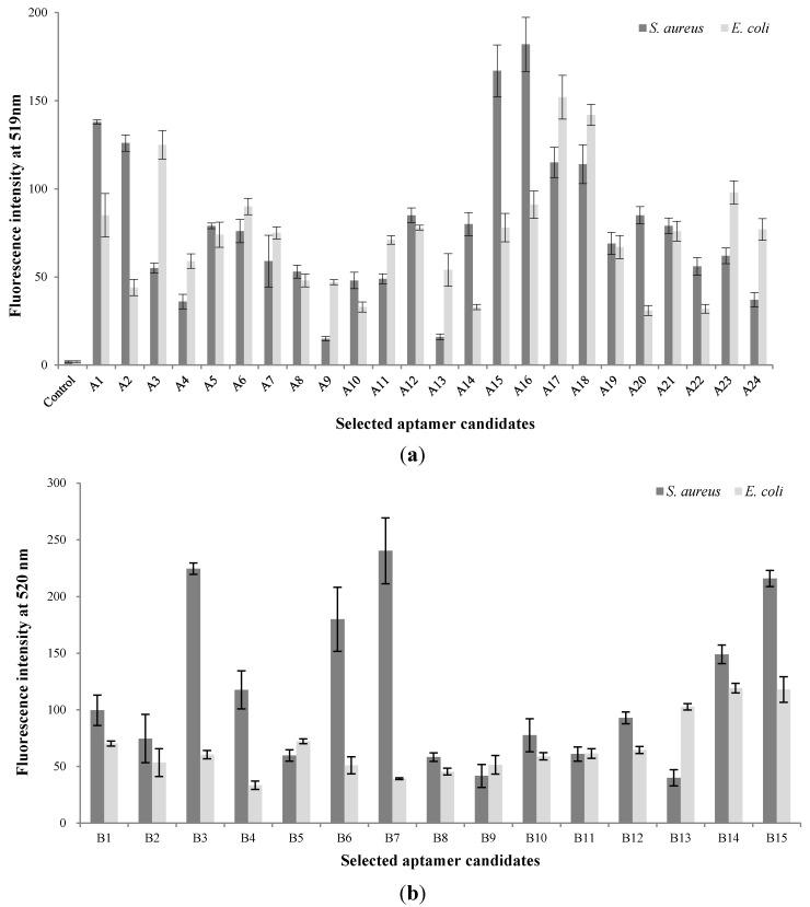 https://cdn.ncbi.nlm.nih.gov/pmc/blobs/5512/4431181/3f6833c53eb3/sensors-15-08884-g002.jpg