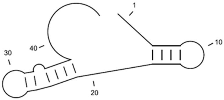 https://cdn.ncbi.nlm.nih.gov/pmc/blobs/5512/4431181/7dd1de4f3373/sensors-15-08884-g005.jpg