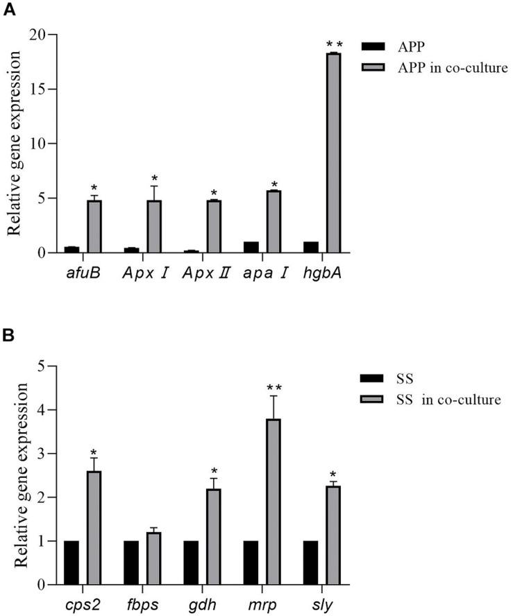 https://cdn.ncbi.nlm.nih.gov/pmc/blobs/5513/7179662/8fdfef0f4bc0/fmicb-11-00507-g004.jpg