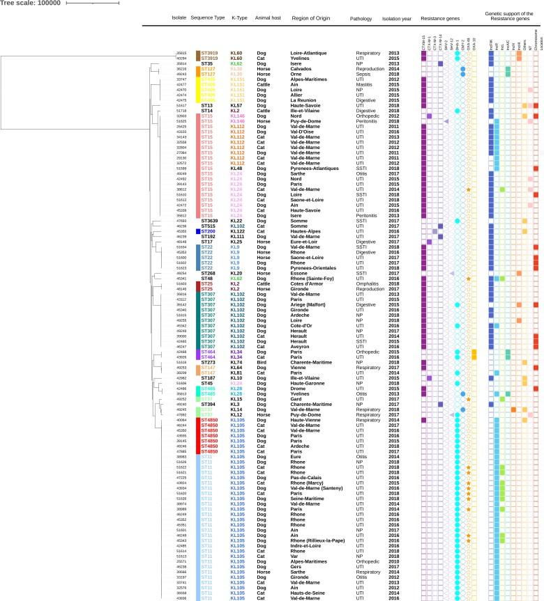 https://cdn.ncbi.nlm.nih.gov/pmc/blobs/5515/9047677/64d5d609e829/dkac041f1.jpg